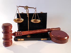 the-citizen-lawyer-1 the-citizen-lawyer-1